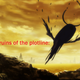 Illustration for article titled The 2014 Golden Slaine Awards